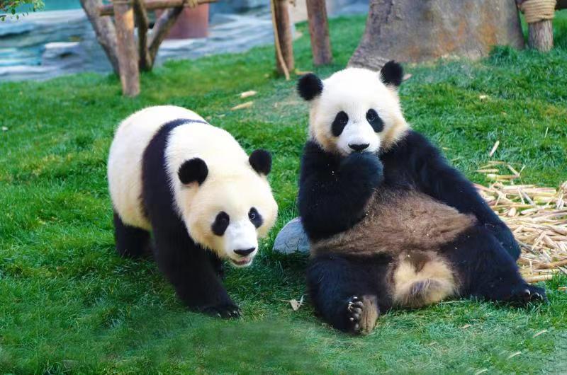 行程美圖